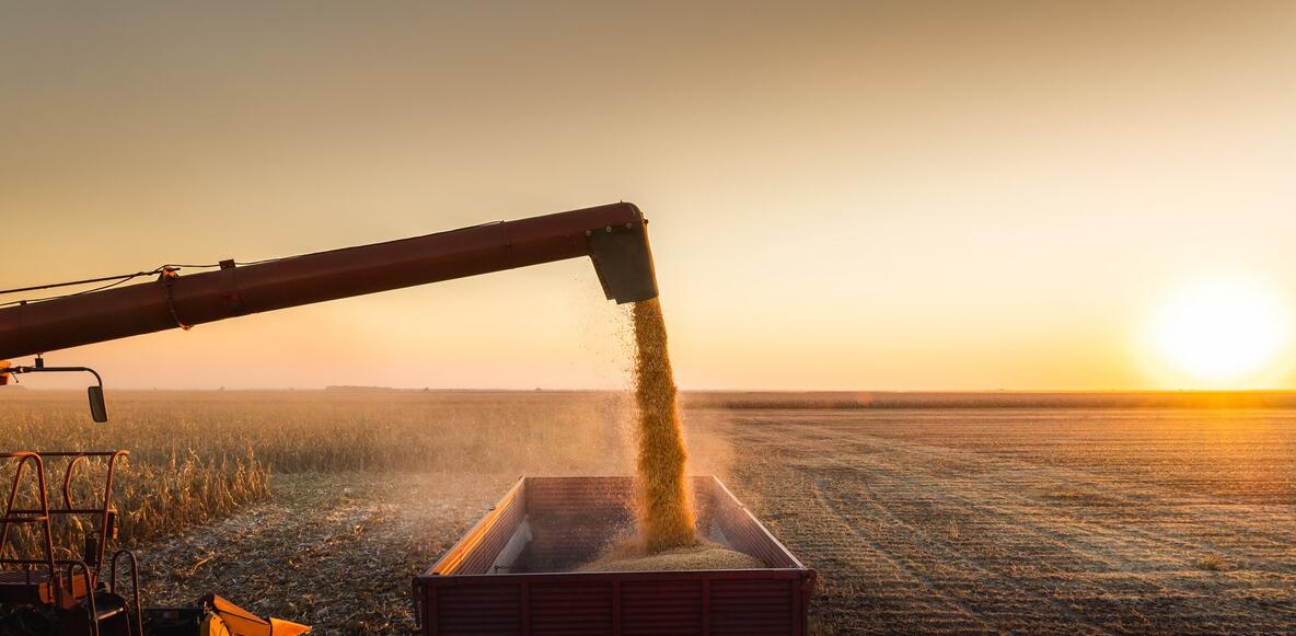 Grain harvesting and logistics