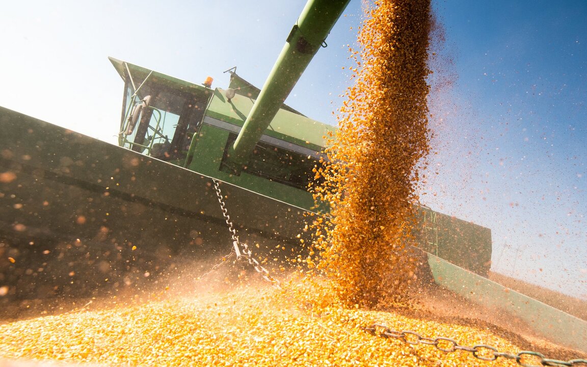 Grain marketing and agricultural commodities
